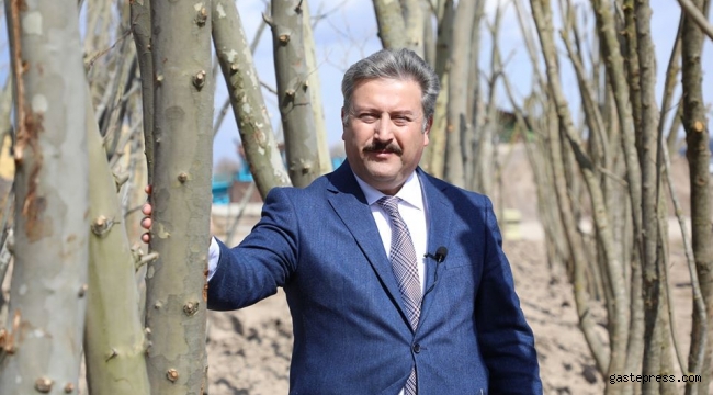 Kayseri Melikgazi Belediyesi, Fidan Değil Ağaç Dikiyoruz.