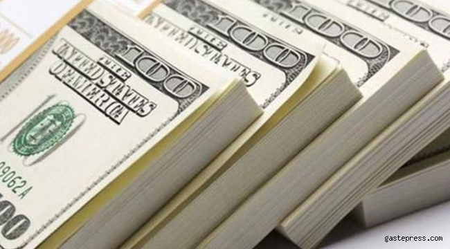 Koronavirüs ekonomileri de çökertiyor! Dolar son iki yılın zirvesinde!