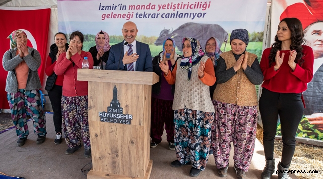 İzmir'de Belediyenin hibe ettiği mandalar 13 yavruyla kadınların yüzünü güldürdü!