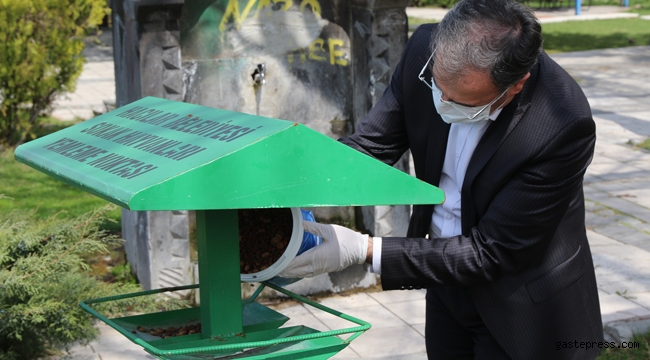 Kayseri'de Hacılar Belediyesi sokak hayvanları için düzenli olarak yiyecek bırakıyor!