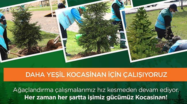 Kayseri Kocasinan Yeşil Hamle İle Geleceğe Nefes Oluyor