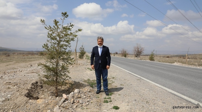 Kayseri Melikgazi Belediyesi Güzelköy ve Gürpınar Yolu Ağaçlandırma çalışmalarına başladı