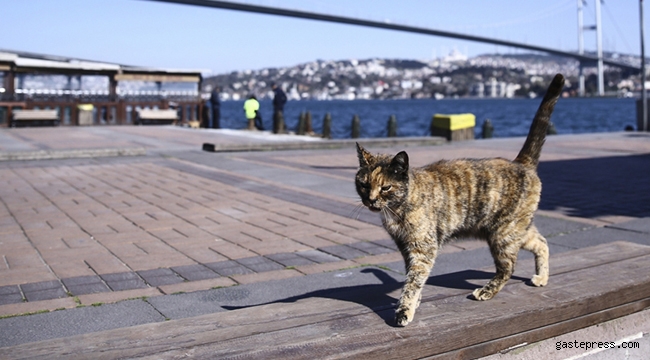 Sokağa çıkma yasağı bu gece başlıyor!