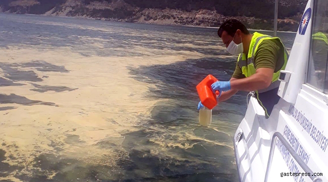 Antalya Büyükşehir Belediyesi'nden Polen Açıklaması