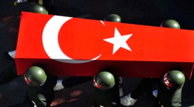 Bitlis'te çatışma: 2 şehit, 4 yaralı
