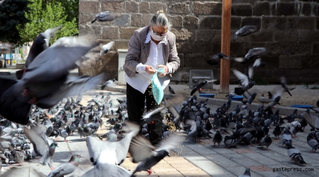 Kayseri'de sokağa çıkma kısıtlamasında güvercinleri beslediler