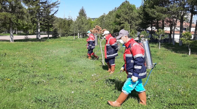 Kayseri Kocasinan'da Huzurlu Bir Yaz İçin Haşere İle Mücedele Aralıksız Sürüyor