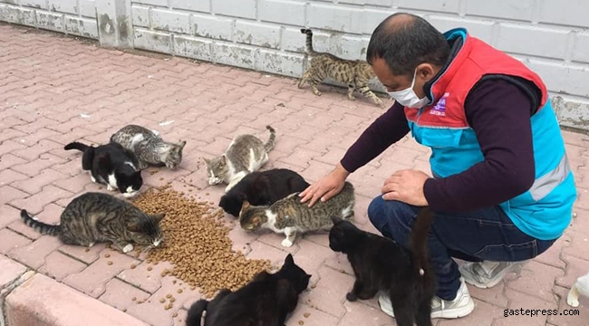Kayseri Kocasinan'da Doğadaki Canlılar İçin Seferberlik!