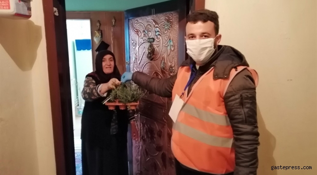 Kayseri Talas Belediyesi'nden  65 Yaş Üstüne Aromatik Bitkiler Sepeti