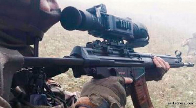 Mardin'de 2 PKK'lı terörist yakalandı