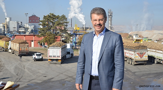 Turhal Şeker'de Bu Yıl Rekor Verim Bekleniyor