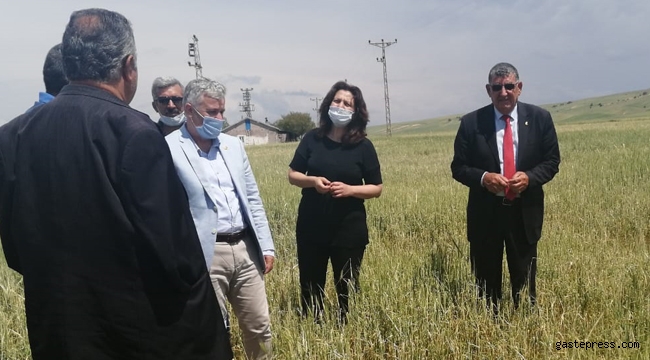 CHP Kayseri İl Başkanlığı Ürünleri Zarar Gören Çiftçileri Ziyaret Etti!