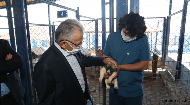 Kayseri Büyükşehir Belediyesi’nin Köpek Barınma Evi Türkiye genelinde ilk 3’te yer alıyor.