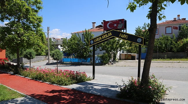 Kayseri Develi'de Şehidin Adı Mahallesindeki Parkda Yaşayacak