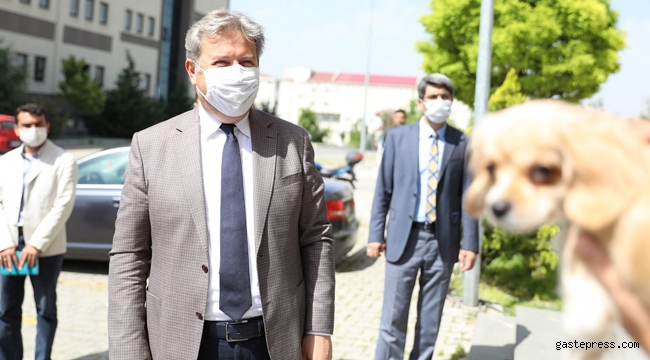 Kayseri Melikgazi'de Sokak Hayvanlarına Yardımda, Belediye - Üniversite İşbirliği!