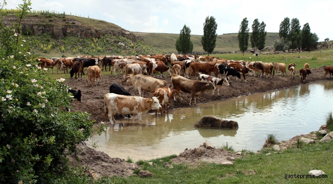 Kayseri Talas Belediyesi'nden Muhtemel Tehlikeye Önceden Tedbir