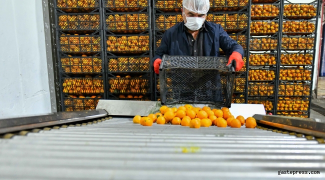 Vitamin Büfeleri'nden Dondurma Sürprizi