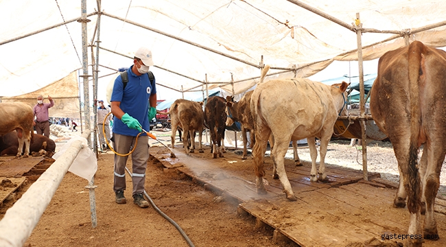 Antalya'da Kurban satış yerleri ilaçlanıyor!