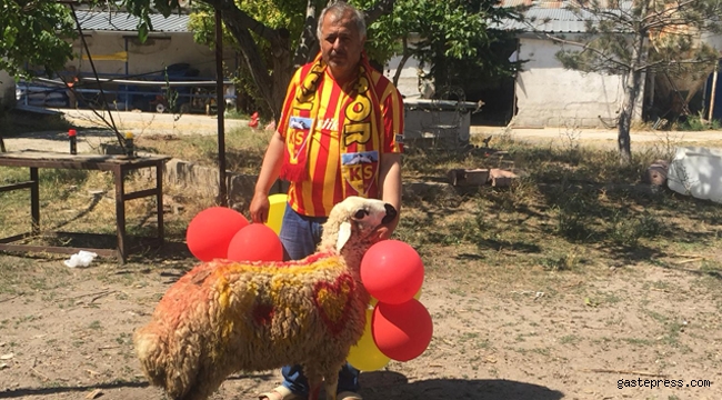 Fanatik Kayserisporlu taraftar adamış olduğu adağı kesti!