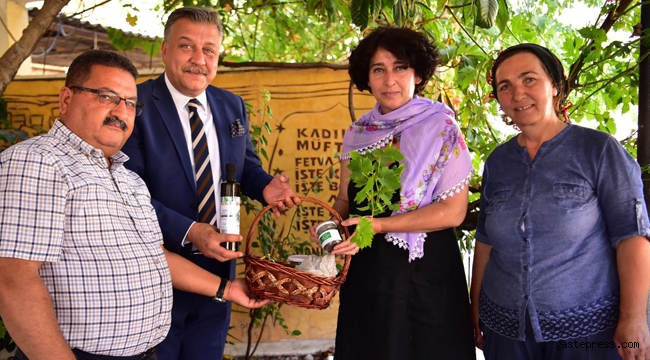 İzmir Bornova’da bamya hasadı başladı!