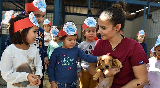 İzmir’de sokak hayvanları için Avrupa standartlarında merkez!