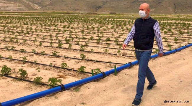 Kayseri Kocasinan, Türkiye Tarımının Başkenti Olacak!