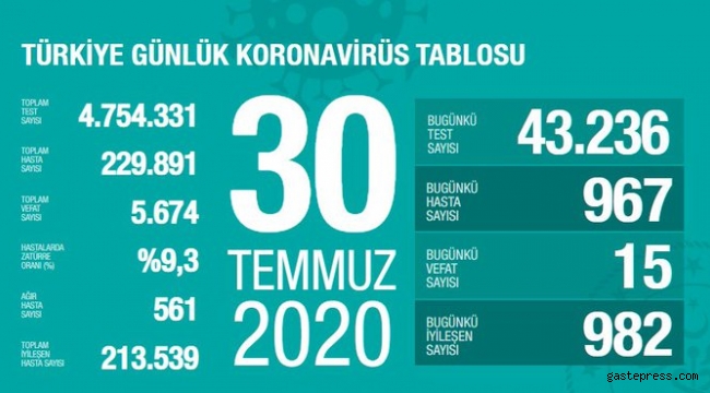 Türkiye'deki koronavirüs vaka ve ölü sayısında son durum (30 Temmuz 2020)