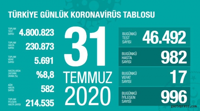 Türkiye'deki koronavirüs vaka ve ölü sayısında son durum (31 Temmuz 2020)