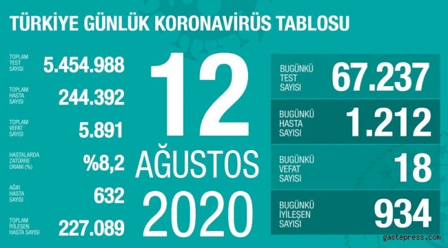 12 Ağustos 2020 Türkiye'de Koronavirüs'de Son Durum!