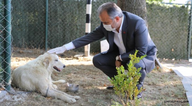 Bursa Büyükşehir'den Can dostlarına Büyükşehir şefkati!