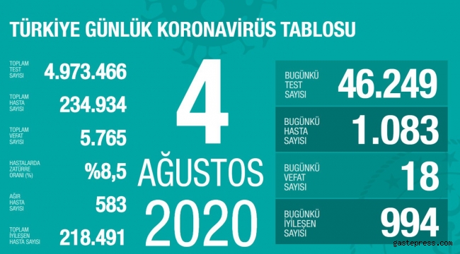 Türkiye'deki koronavirüs vaka ve ölü sayısında son durum (4 Ağustos Salı)