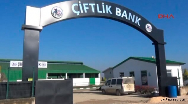 Çiftlik Bank davasında dosyası ayrılan 28 sanık beraat etti!