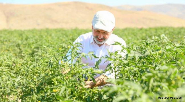 Kayseri Kocasinan Belediyesi Kendi Salçasını Üretti!