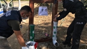 Kırşehir’de polisten sokak hayvanlarına mama!