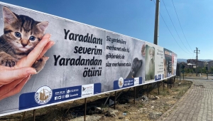  Sivas Belediyesi ve Haytap Hayvan Hakları İçin Ortak Çalışma Yaptı!