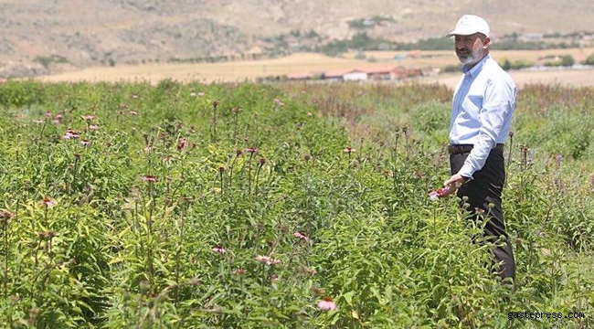 Türkiye’nin En Kapsamlı Fidanlığı Kayseri Kocasinan'da!