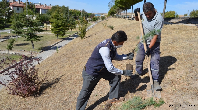 Kayseri Bünyan Belediyesi Parkları Yenilemeye Devam Ediyor!