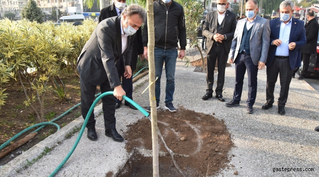 Bornova'da 2 yılda 16 bin fidan!