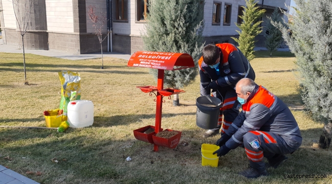 Kayseri Melikgazi'de Sokağa Çıkma Kısıtlamasında Sokak Hayvanları Unutulmadı!
