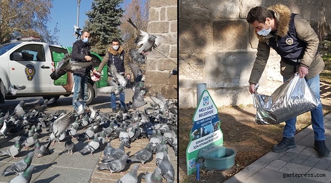Kayseri Polisi sokağa çıkma kısıtlamasında hayvanları unutmadı.