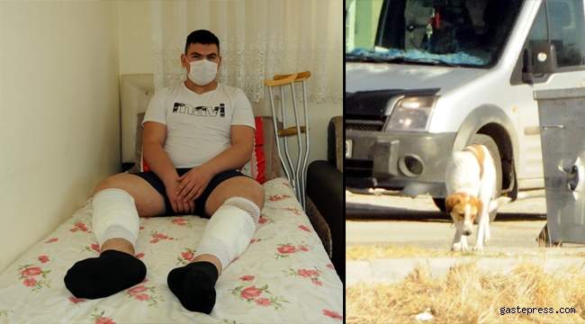 Köpek saldırısında yaralanan milli halterci: İyileşip Türkiye şampiyonasına katılmak istiyorum!