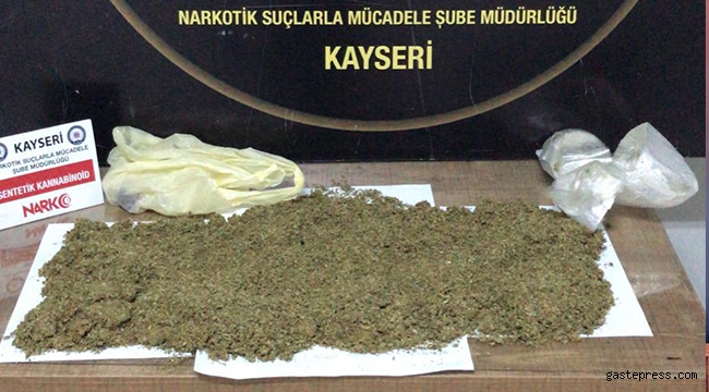 Otobüsteki valizin astarında bonzai ele geçirildi!