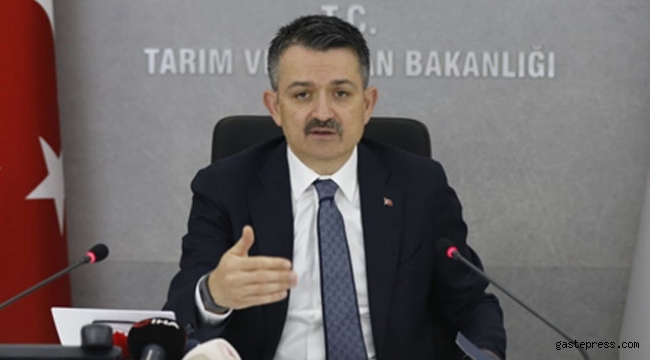 Yaklaşık 890 milyon liralık destek ödemeleri bugün başlıyor!