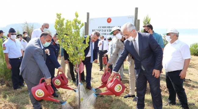 Adana OBM 5 milyon 600 bin Fidanı toprakla buluşturdu!