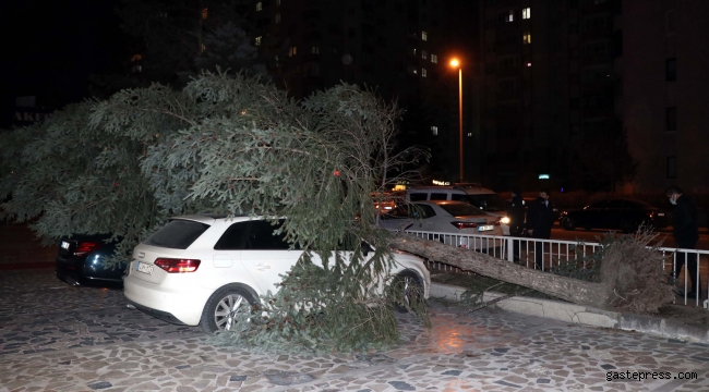 Kayseri'de şiddetli rüzgar ağaçları devirdi, çatıları uçurdu!