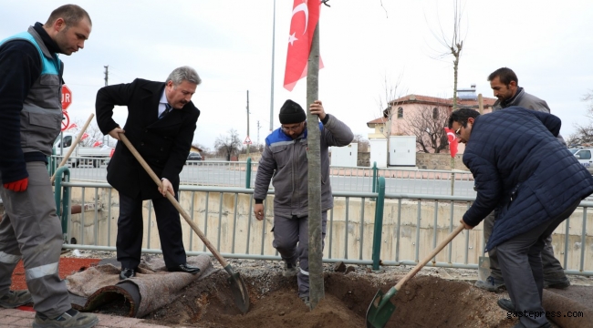 Kayseri Melikgazide 1 yıl da 70 Bin Ağaç Toprakla Buluştu!