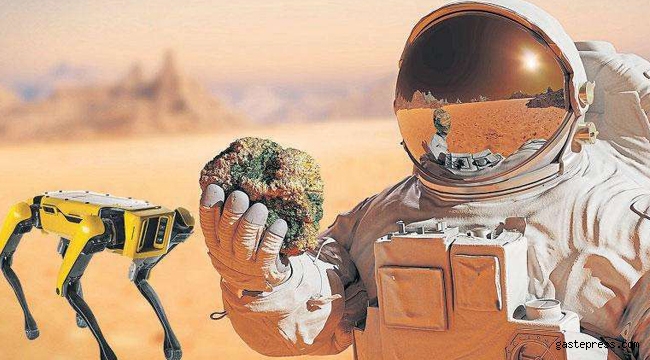 Nasa, Robot Köpeği Mars'a Göndermek İstiyor!