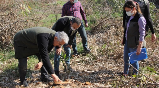Adana Ormancılık Çalışmalarında Hedefe Koşuyor!