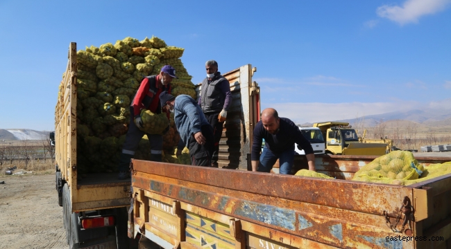 Develi'de ihtiyaç sahiplerine patates dağıtım başladı!