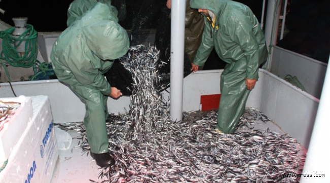 Hamsinin fiyatı, denizden tezgaha gelene kadar 3'e katlanıyor!